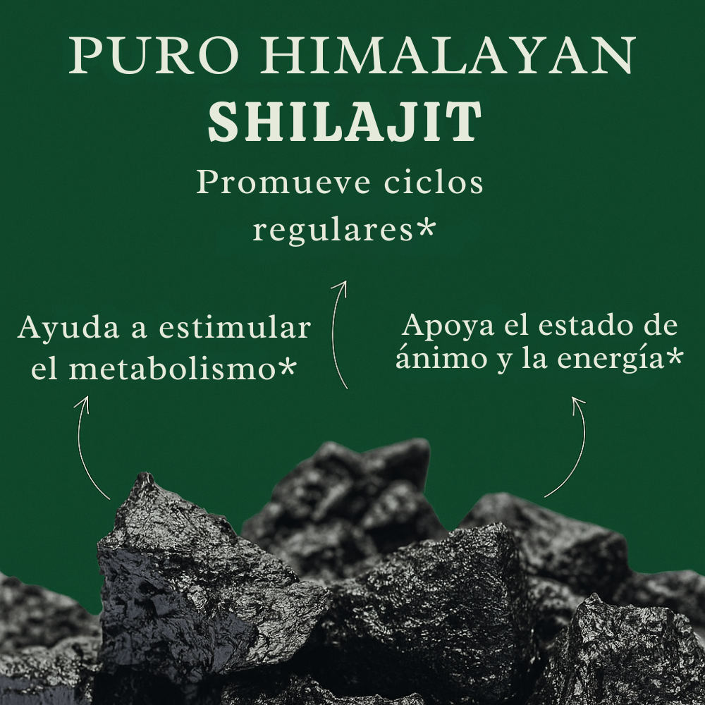 Palitos de Miel SHE-Lajit