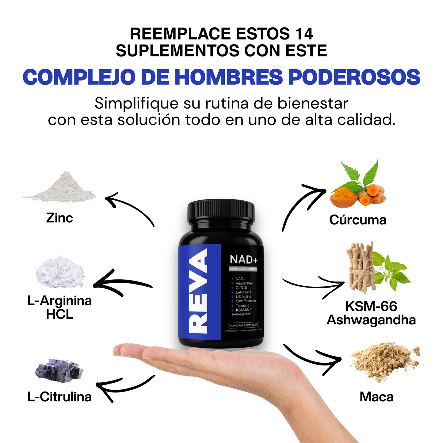 REVA™ NAD+ Liposomal para Hombres