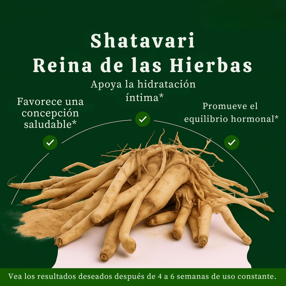 Palitos de Miel SHE-Lajit