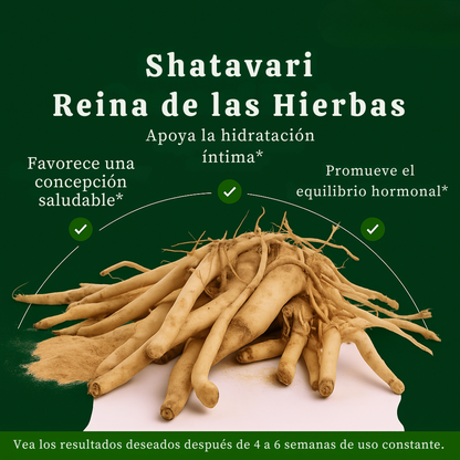 Palitos de Miel SHE-Lajit