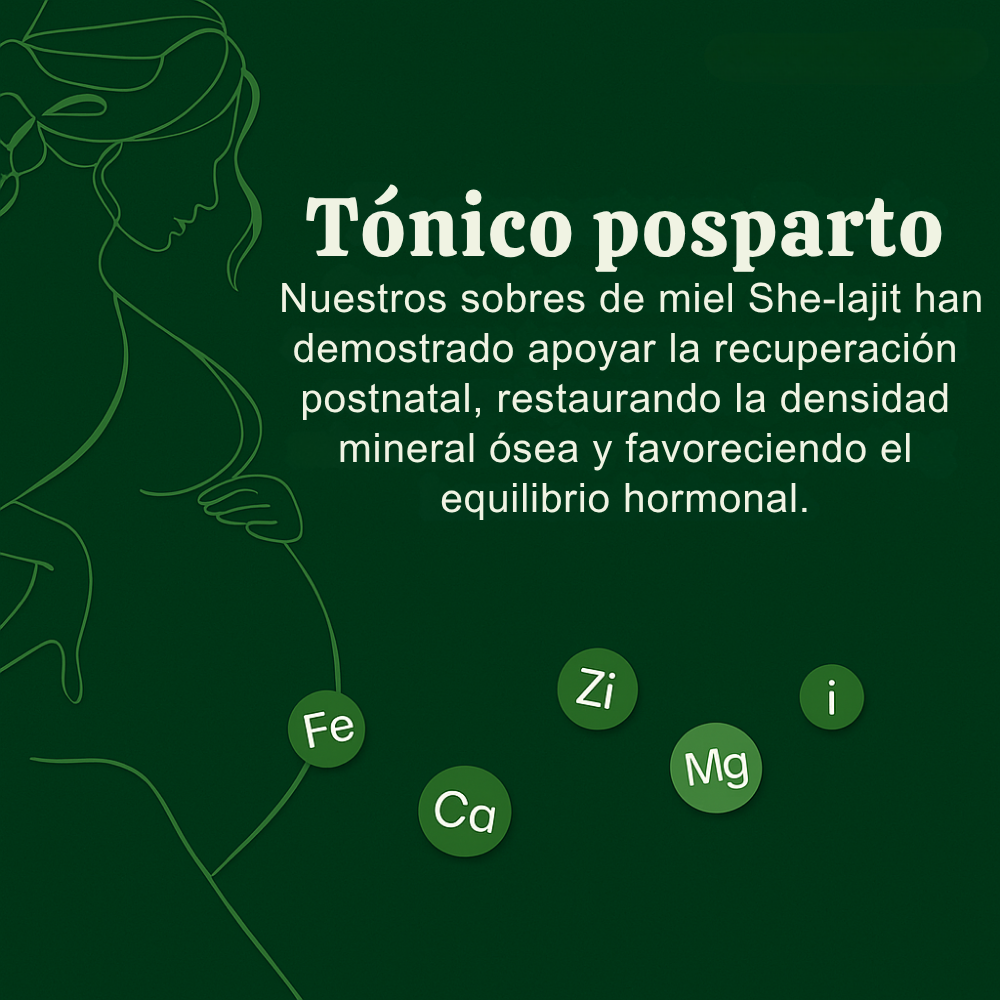 Palitos de Miel SHE-Lajit