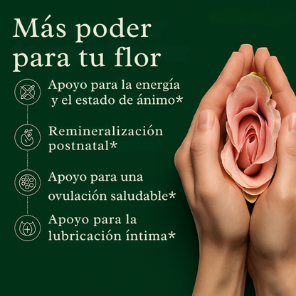 Palitos de Miel SHE-Lajit